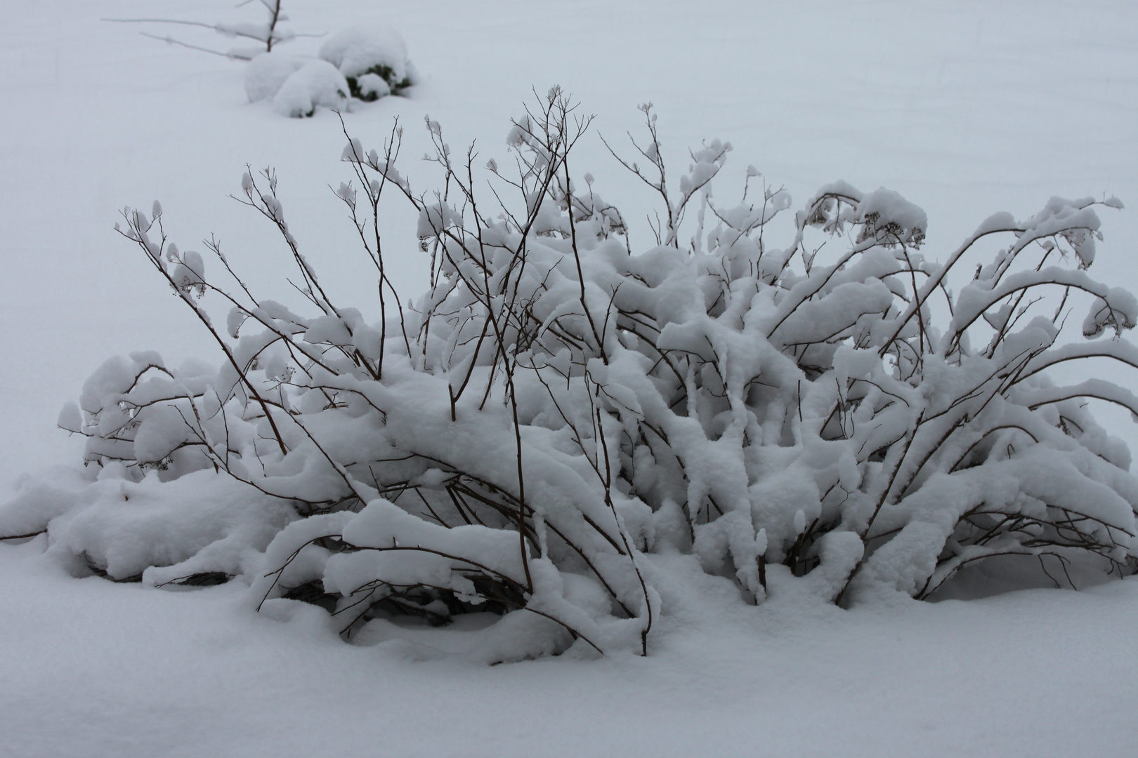 Schneegarten