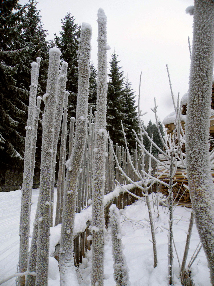 Schneegatter