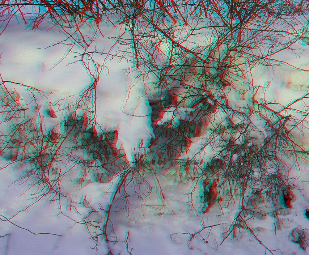 Schneegeflecht (3D Ana-rot-cyan)