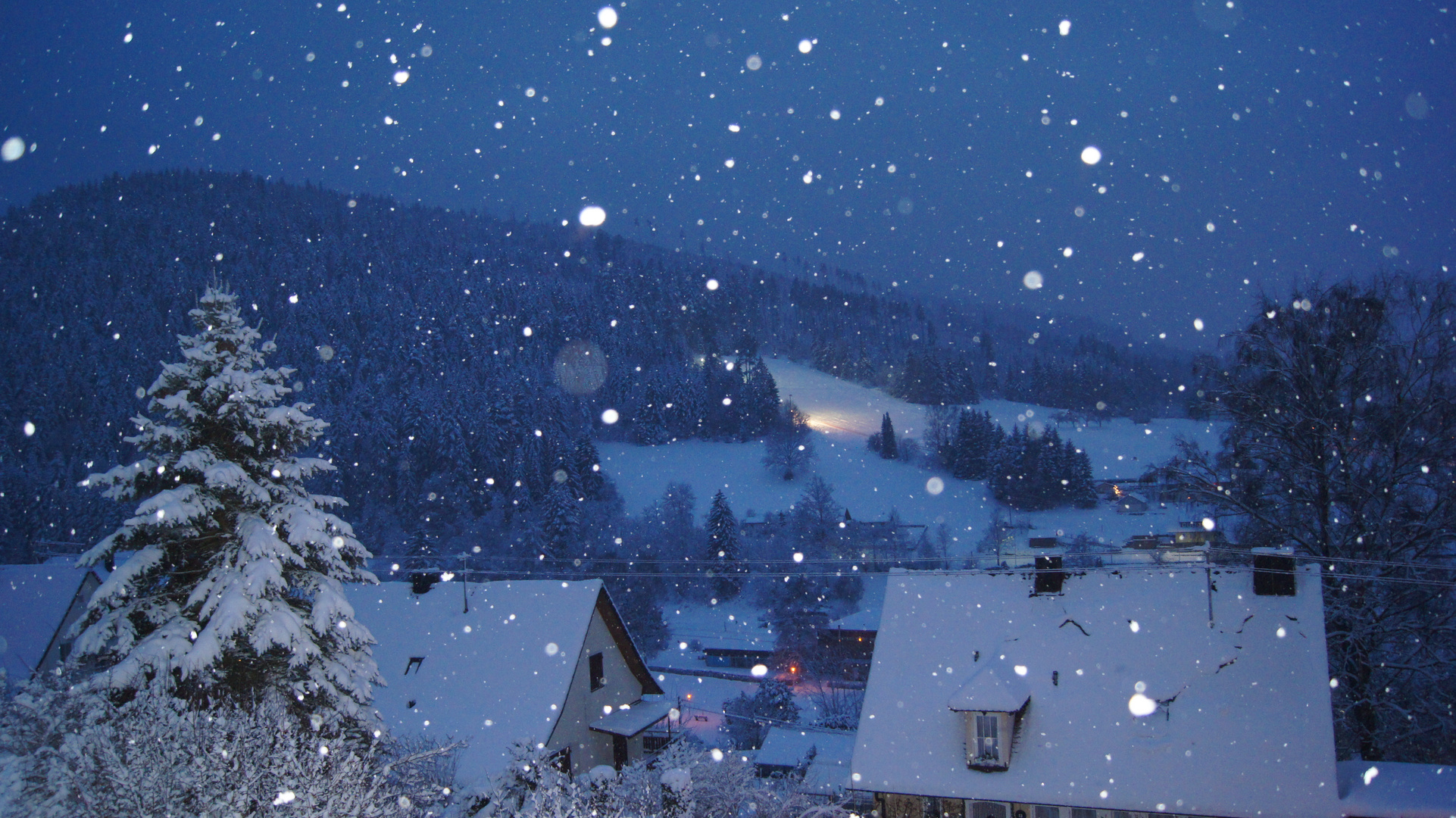 Schneegeflüster - Schwarzwald