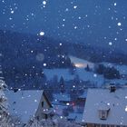 Schneegeflüster - Schwarzwald