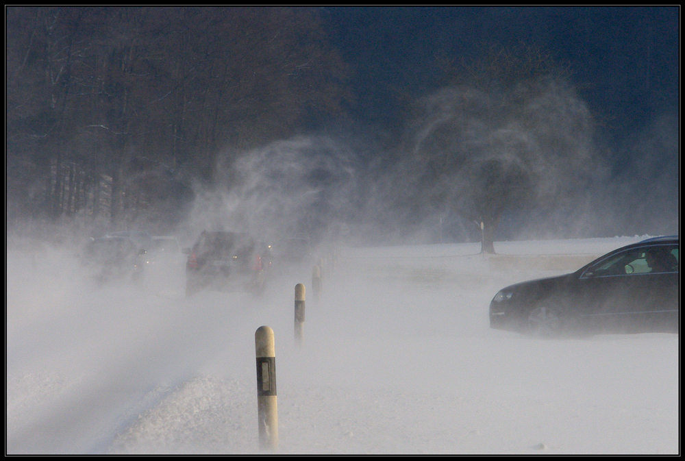 Schneegeister 1