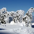 Schneegeister auf dem Brocken