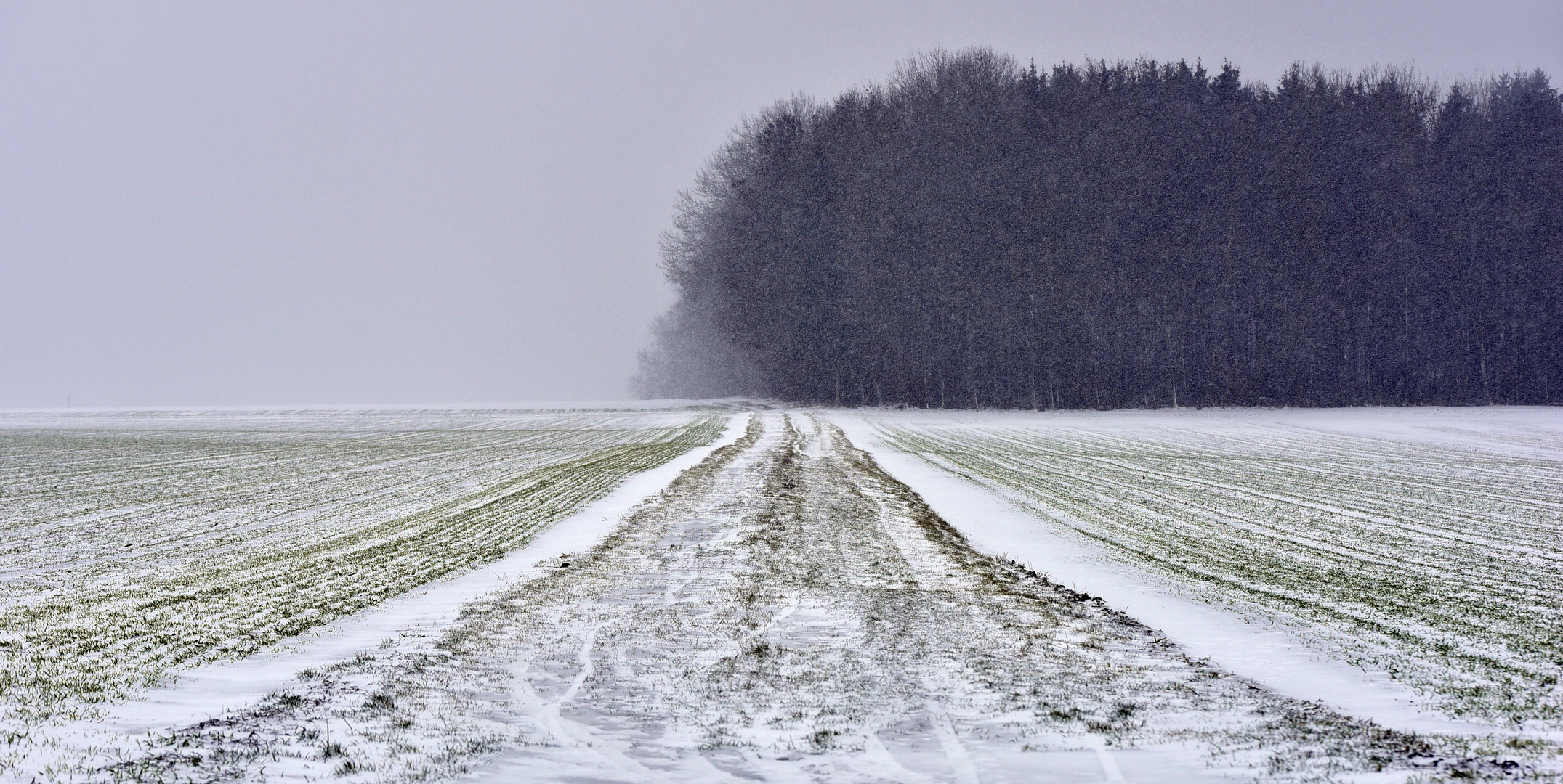 Schneegestöber