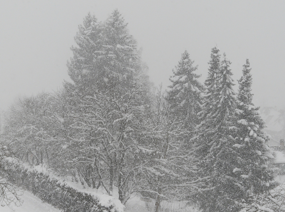 Schneegestöber