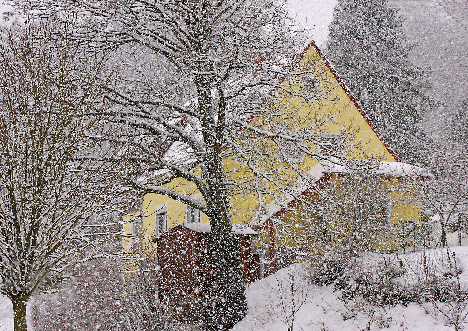 Schneegestöber