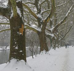 Schneegestöber