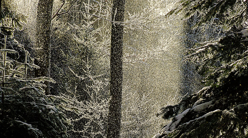 Schneegestöber