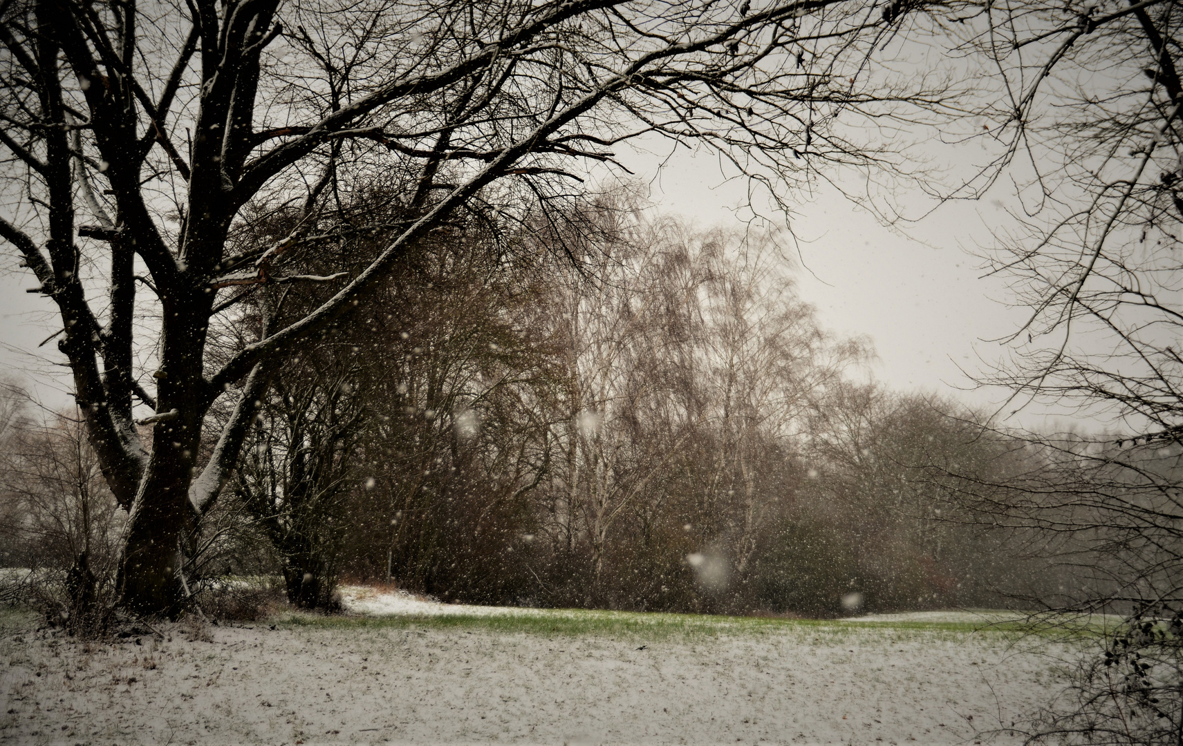 Schneegestöber....