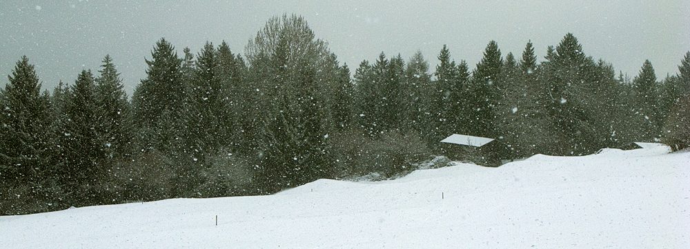 Schneegestöber