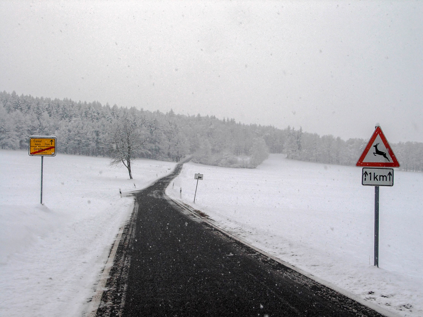 Schneegestöber