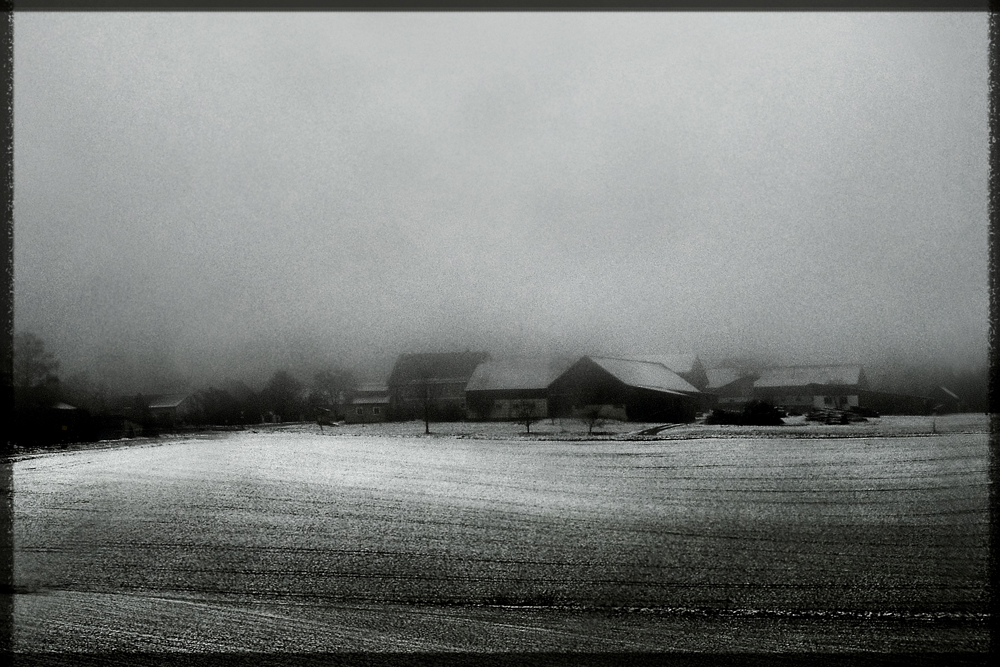 Schneegestöber bei Abenddämmerung