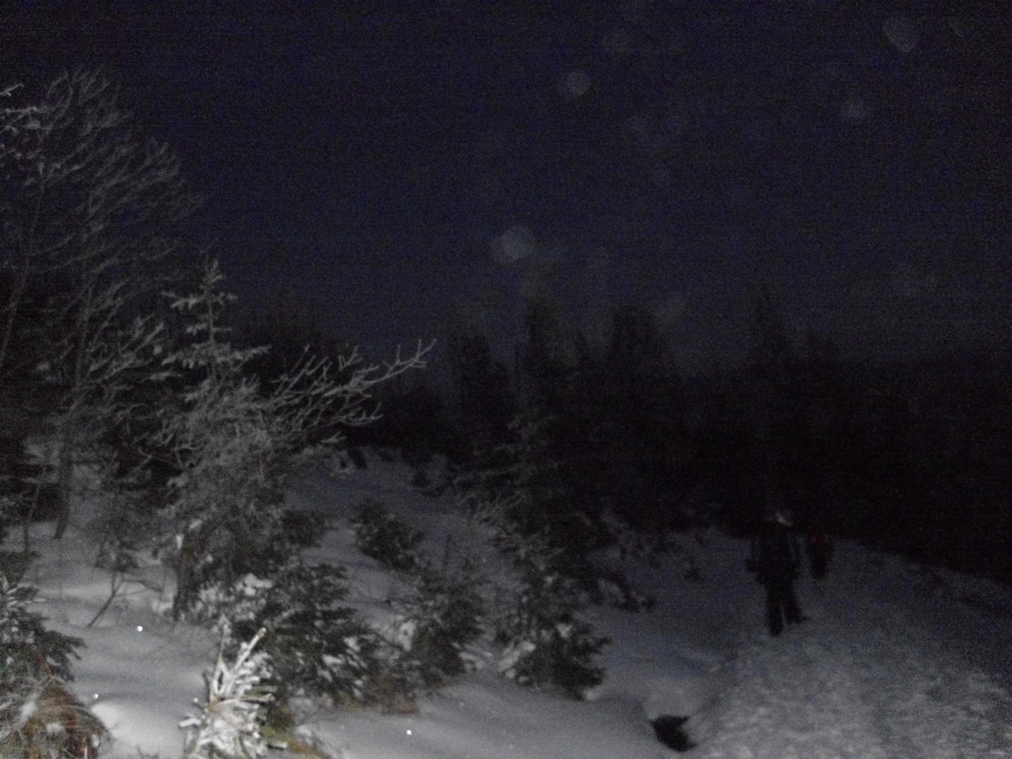 Schneegestöber bei Nacht