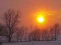 Schneegestöber bei Sonnenuntergang in den Schwalmwiesen von werner thuleweit 