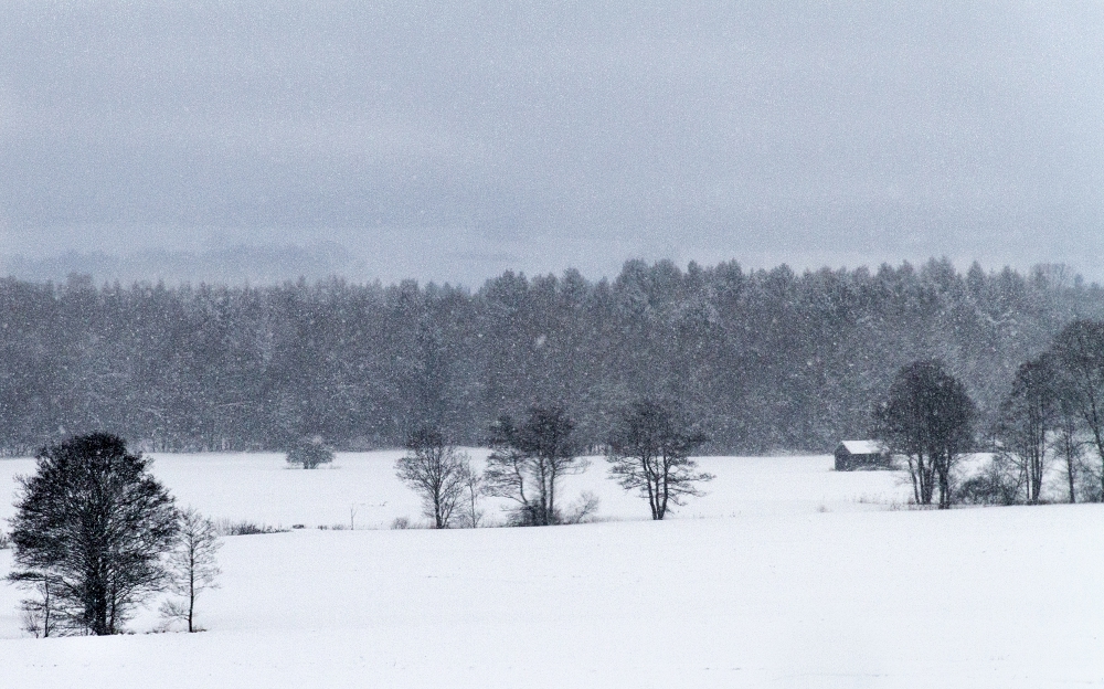 Schneegestöber....