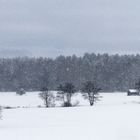 Schneegestöber....