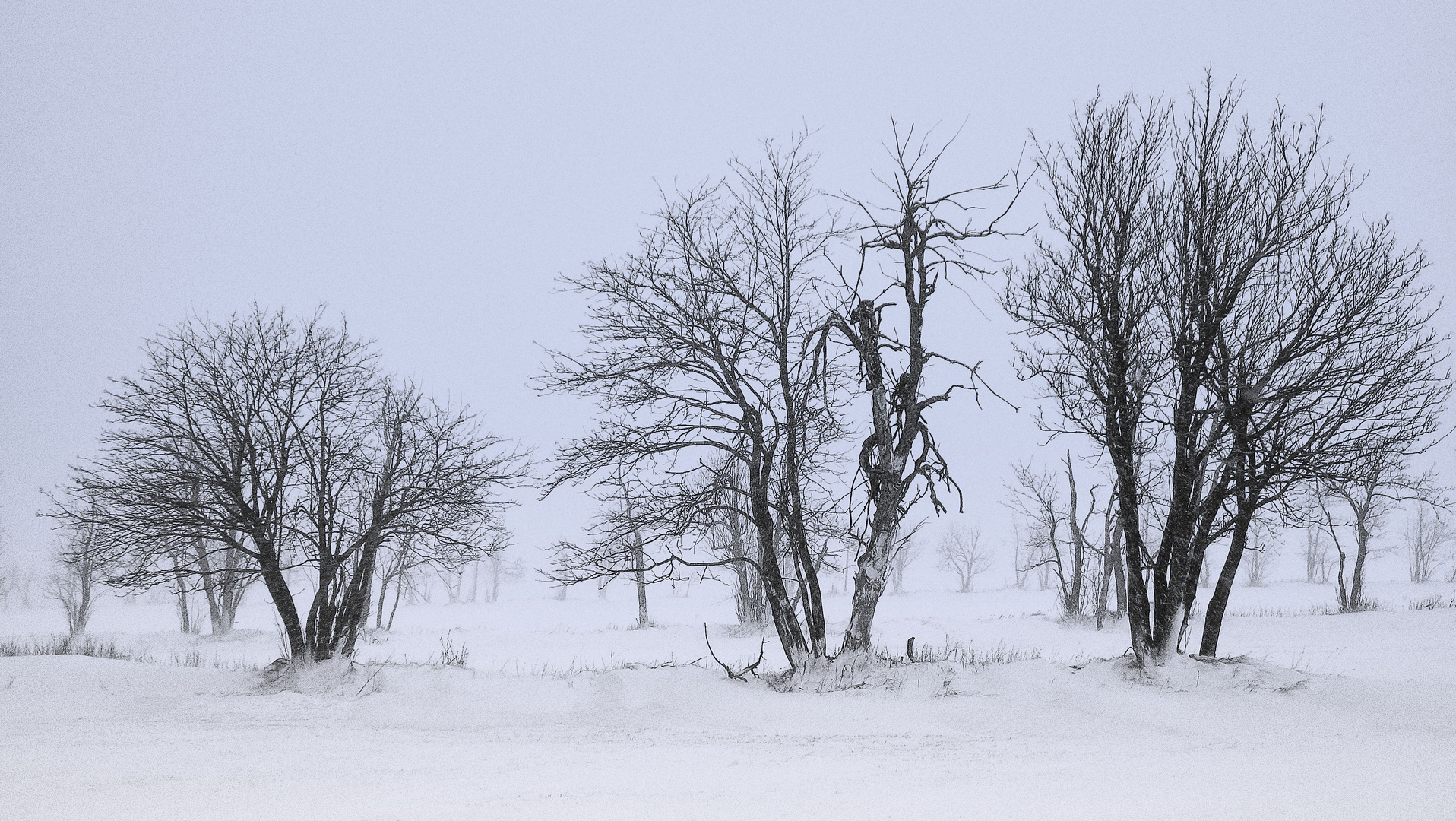 Schneegestöber