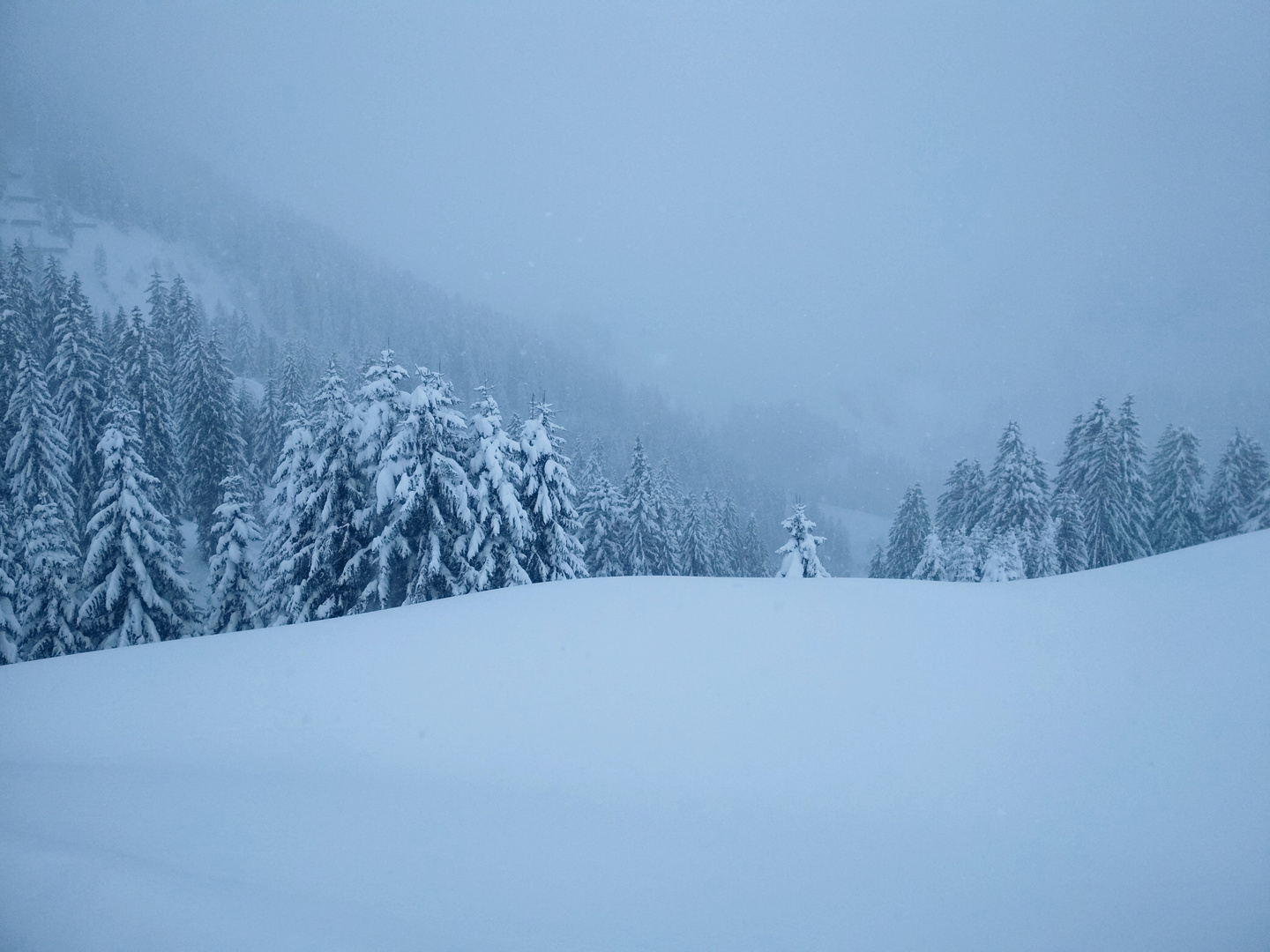 Schneegestöber