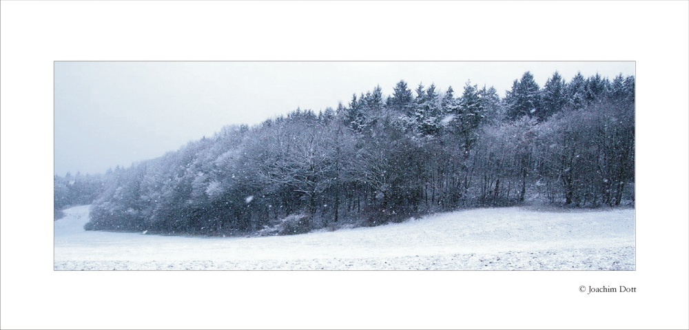 Schneegestöber I