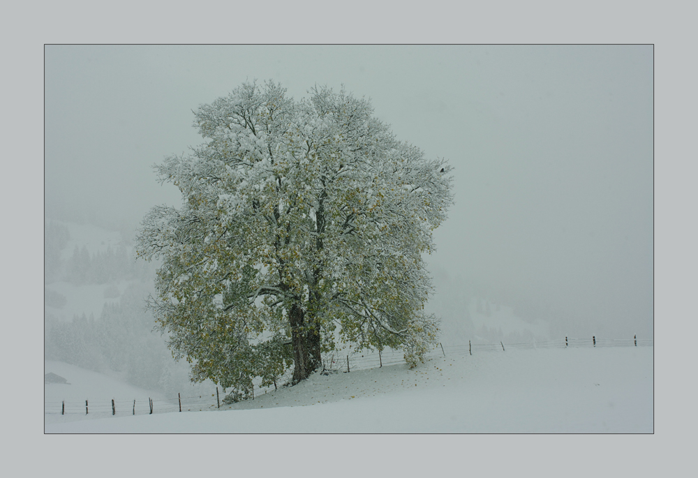 schneegestöber II..