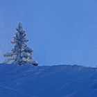 Schneegestöber im Sonnenlicht