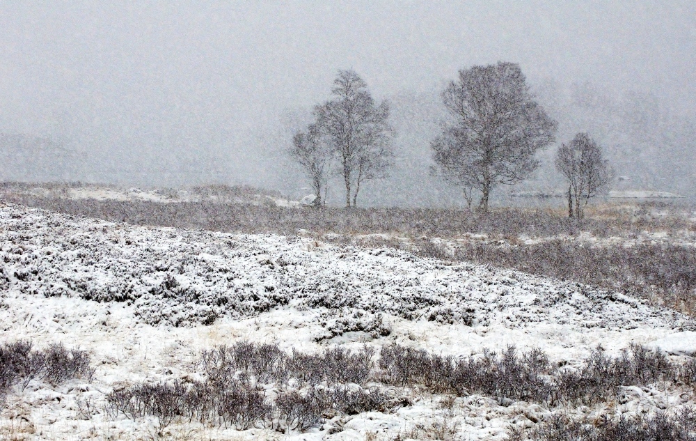 Schneegestöber in Rannoch Moor