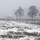 Schneegestöber in Rannoch Moor