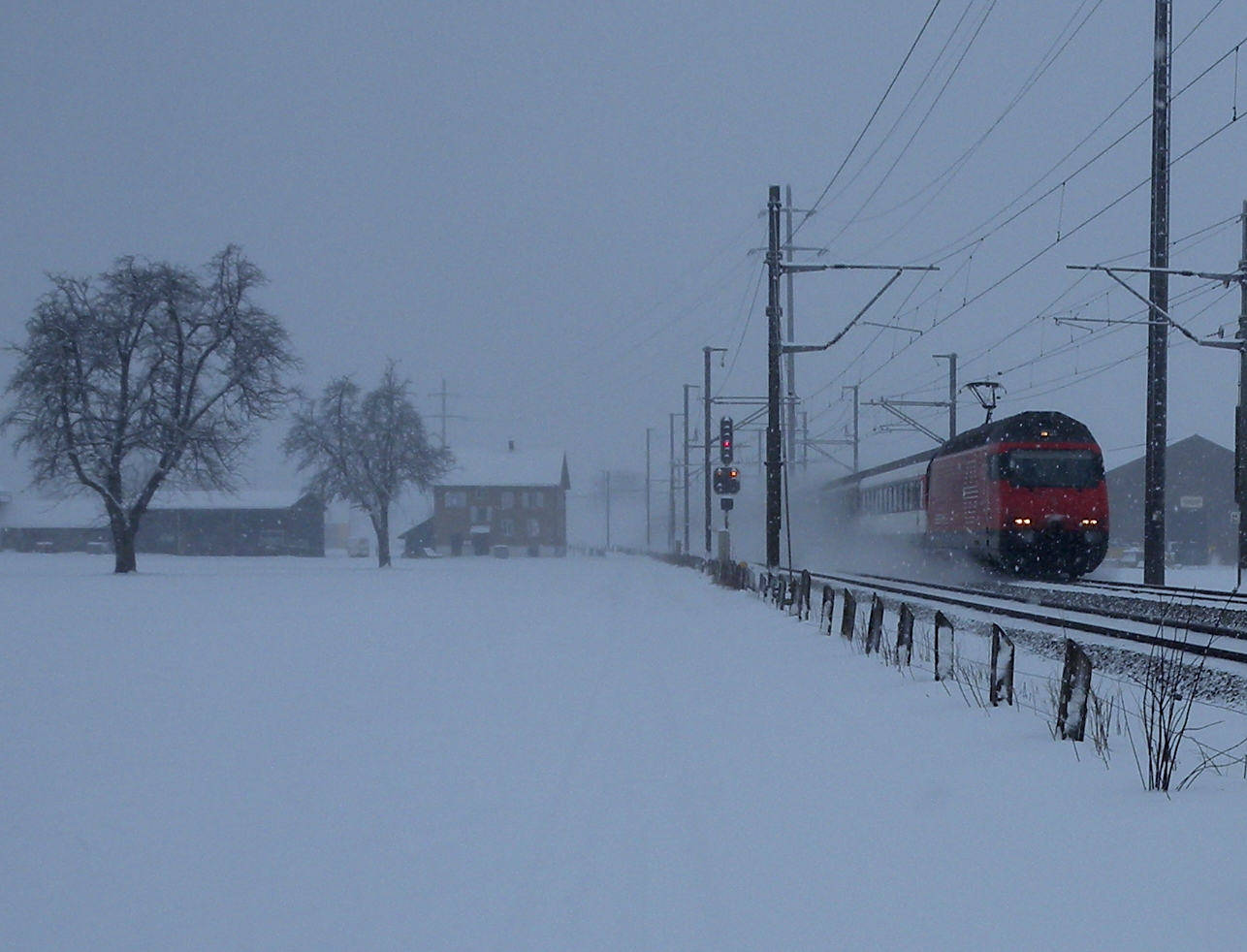 Schneegestöber und Grau / Nevasca y gris / Tempête de neige et gris...02