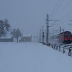 Schneegestöber und Grau / Nevasca y gris / Tempête de neige et gris...02