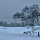 Schneegestöber zum Jahresbeginn