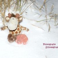 Schneegiraffe