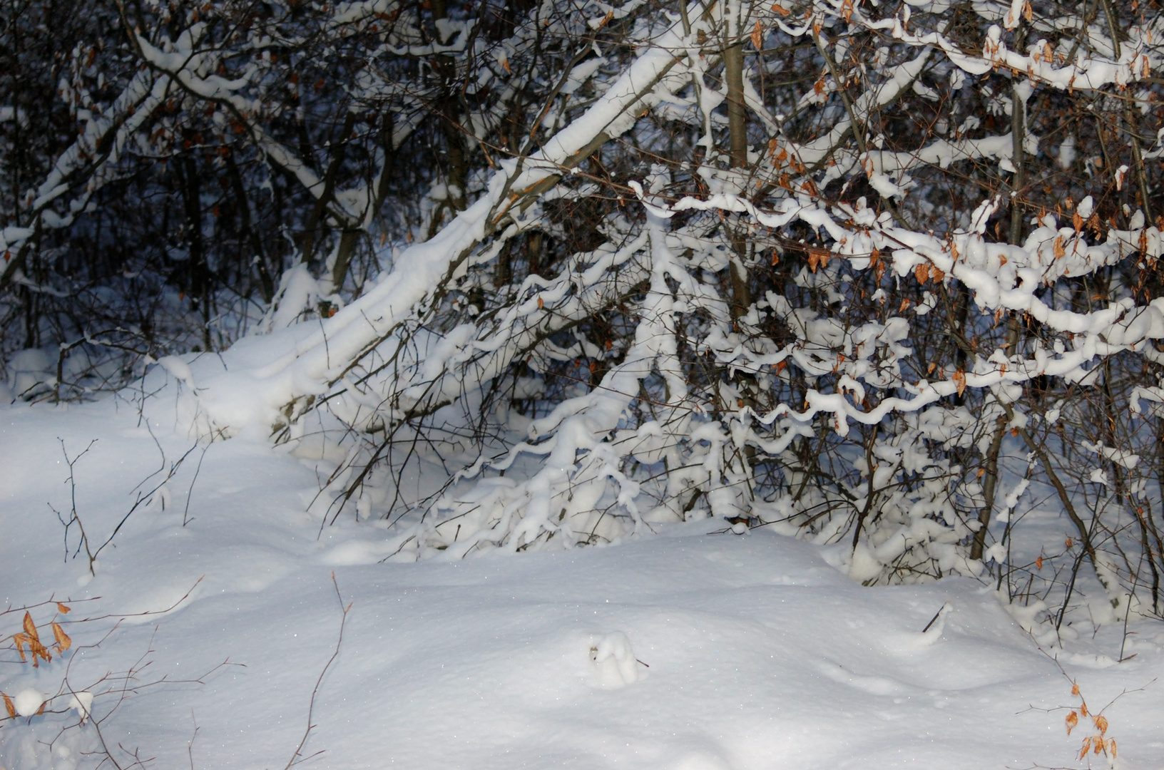 Schneegirlanden, Dezember