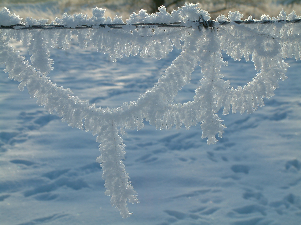 Schneegirlanden