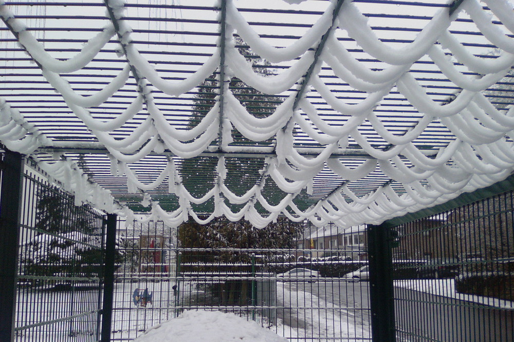 Schneegitter oder Gitterschnee