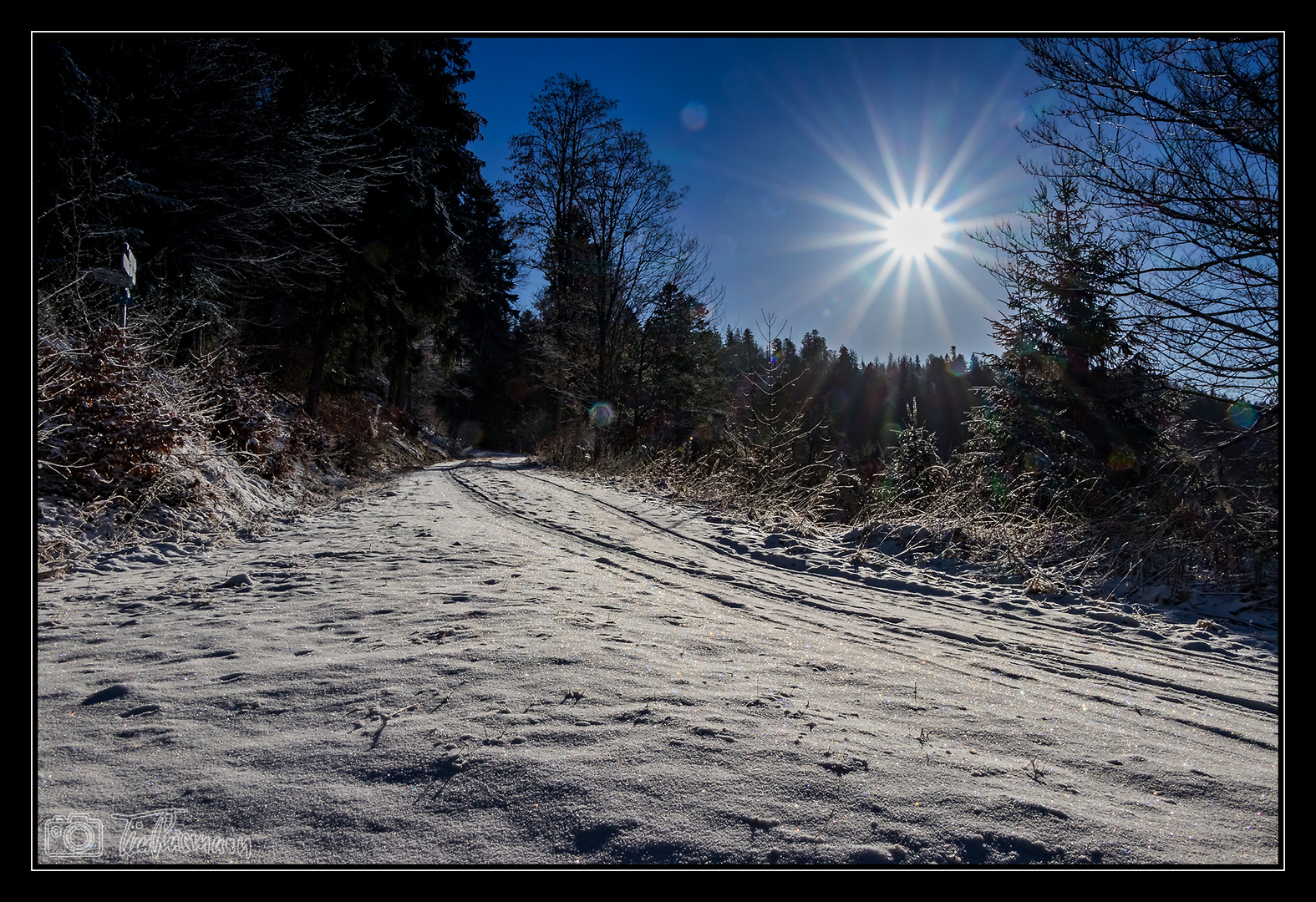 Schneeglitzern