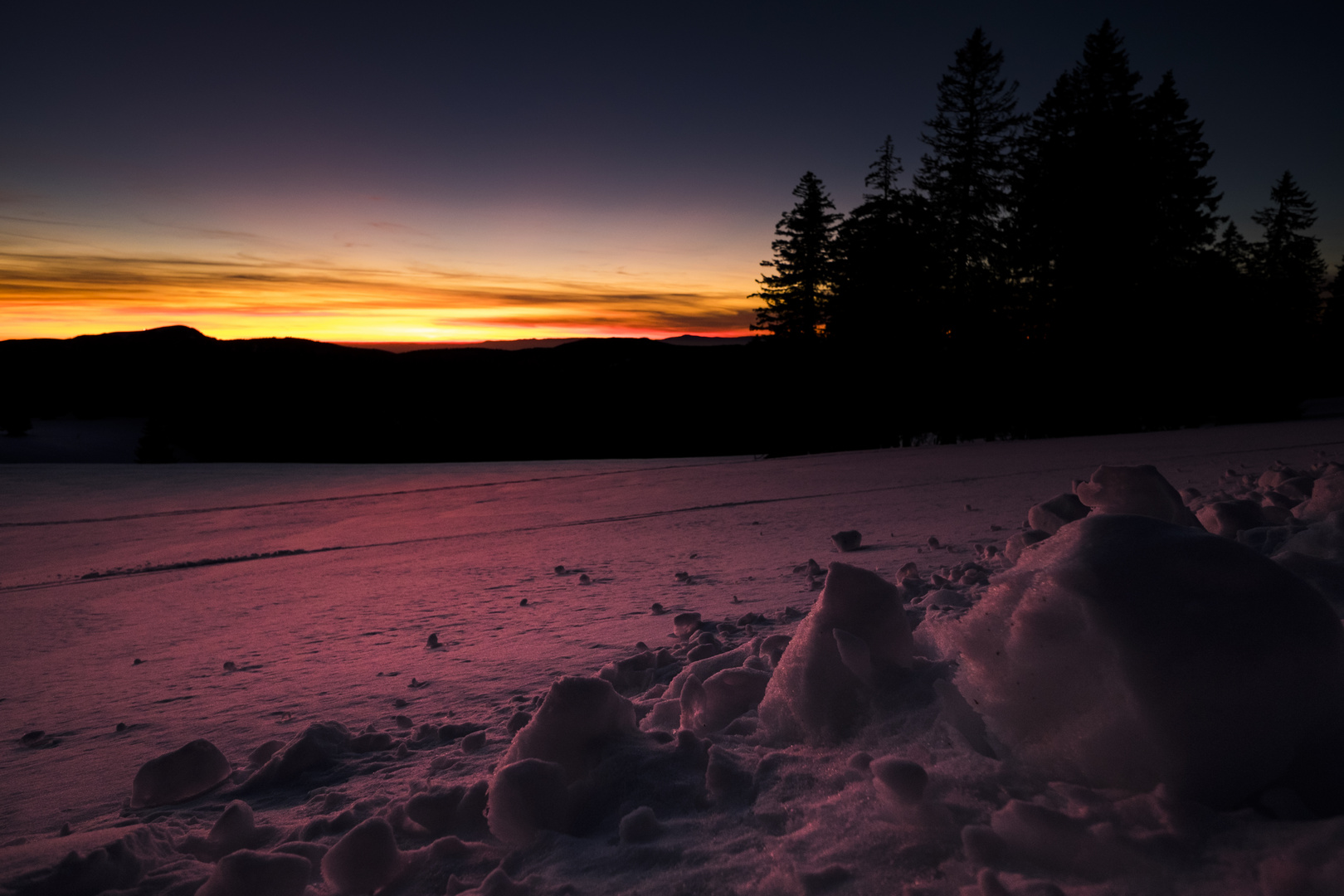 Schneeglühen