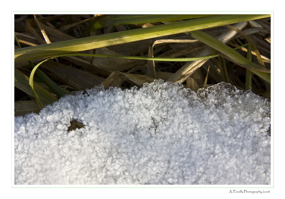 Schneegrenze