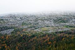 Schneegrenze am Mount Washington