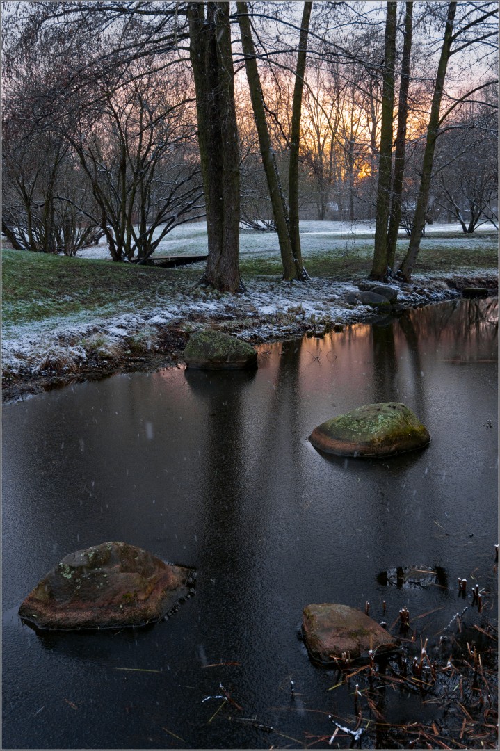 Schneegriesel im Britzer Park