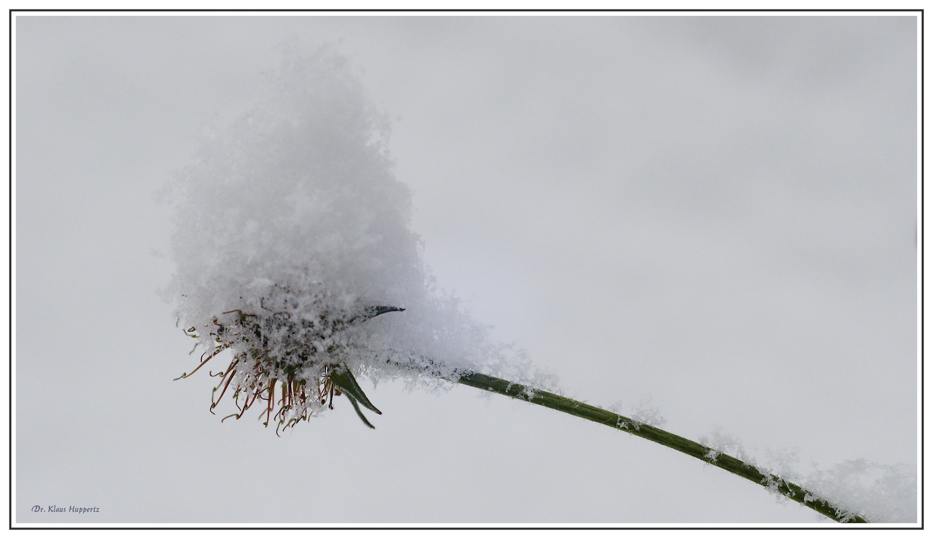 "Schneehäubchen"