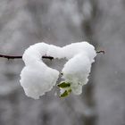 Schneehäubchen #2 - Schneeherz