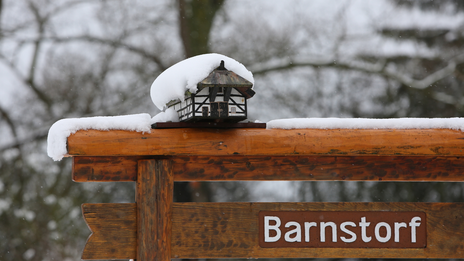 Schneehäubchen