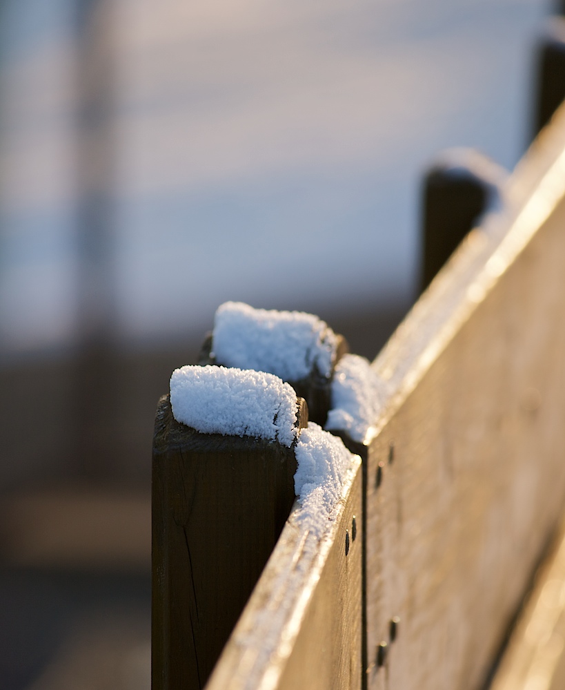 Schneehäubchen