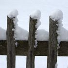 Schneehäubchen