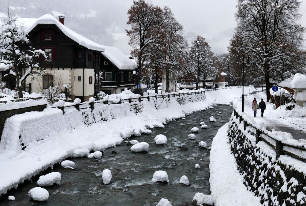 ...Schneehäubchen auf der Litz...