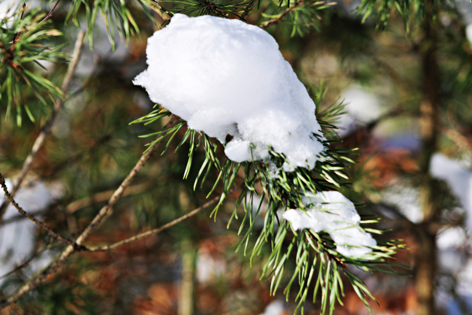 Schneehäufchen