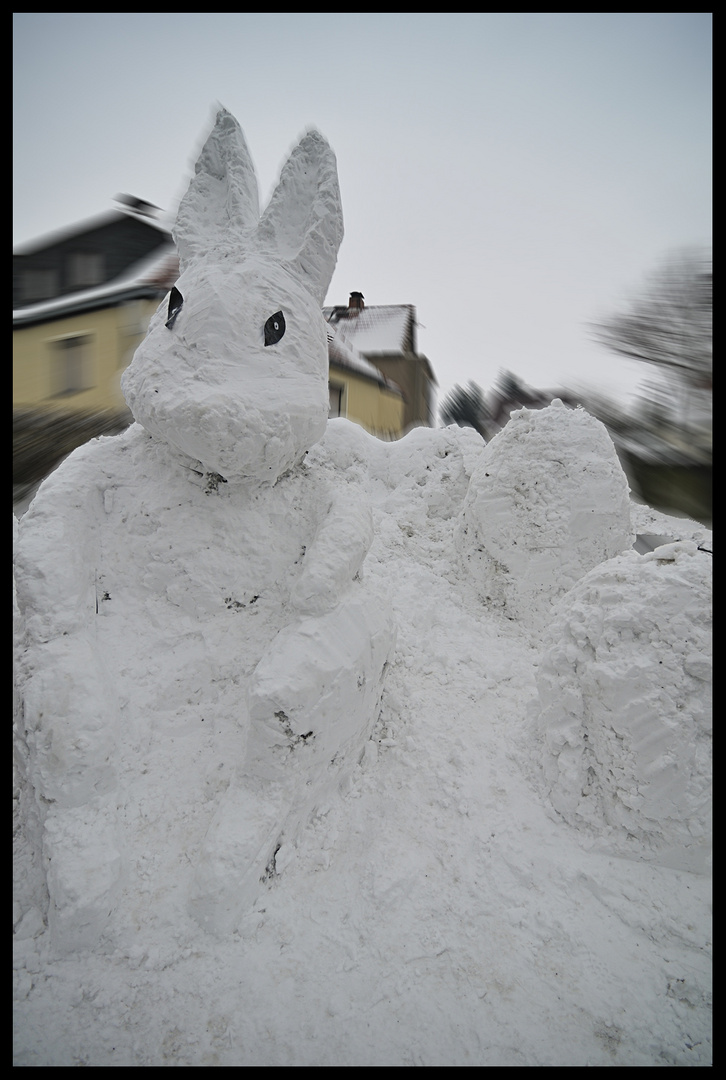 Schneehase 2013