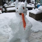 Schneehase