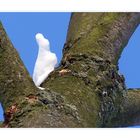 Schneehase auf dem Baum