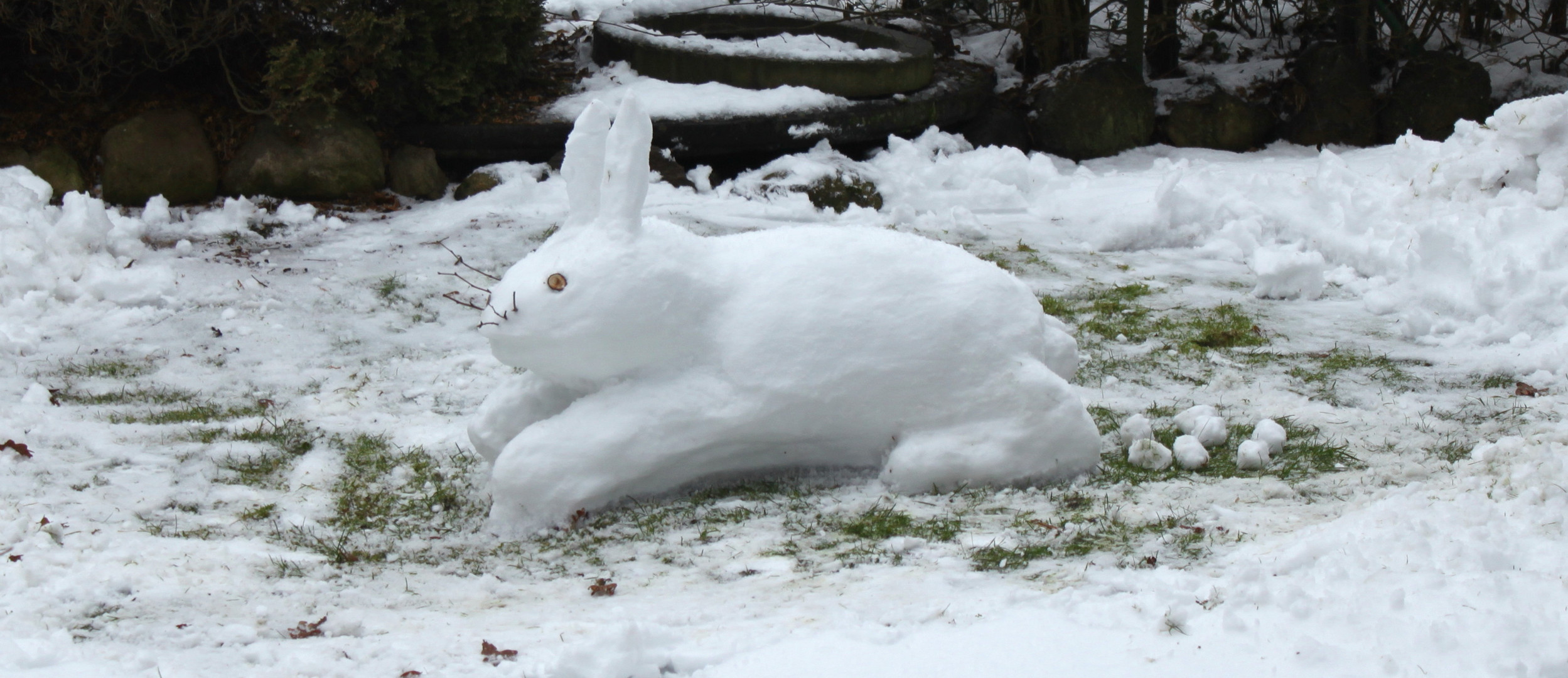 Schneehase natürlich ;-)